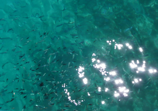 Kornati