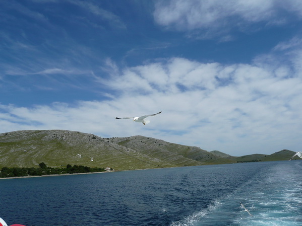 Kornati