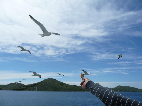 Kornati