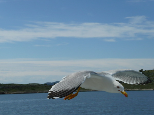 Kornati