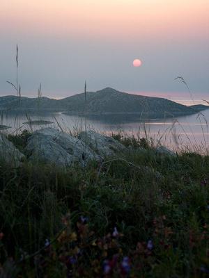 KORNATI > Blühender Salbei