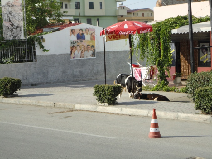 Die Stadt Durres