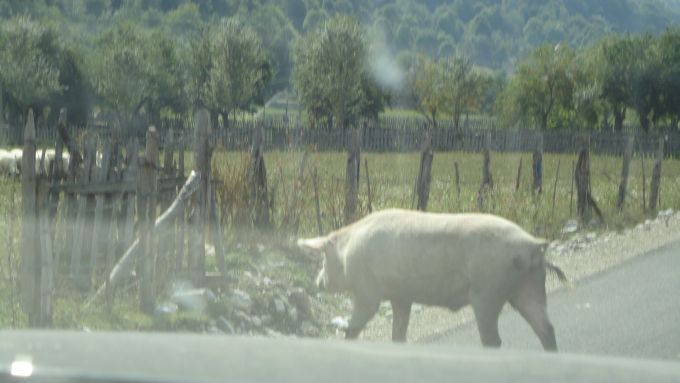 Albanische Alpen 2