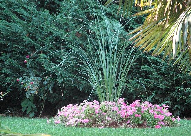 POREC-SPADICI > Nachbars Garten ist mehr als einen Blick wert