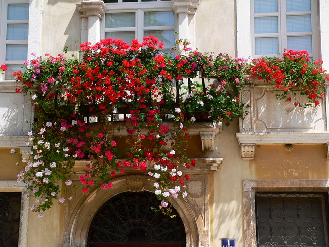 POREC > Fensterfassade in der Altstadt