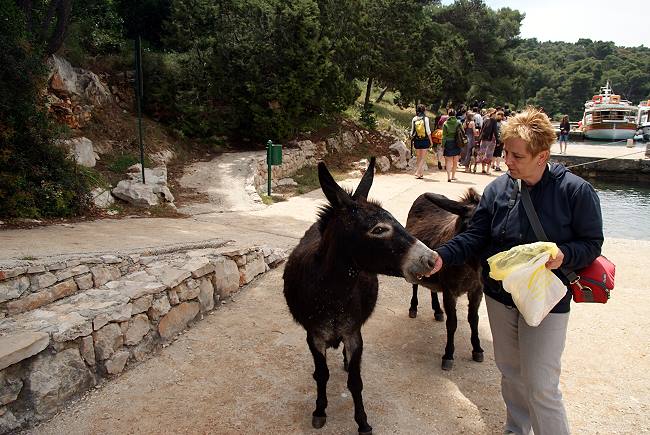 NATURPARK TELASCICA > Touristenesel