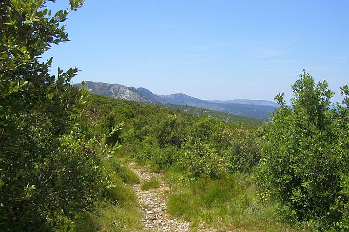 INSEL HVAR > Wanderweg in den Bergen