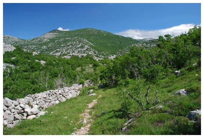 PAKLENICA NATIONALPARK > Trockenmauern und Wanderpfad