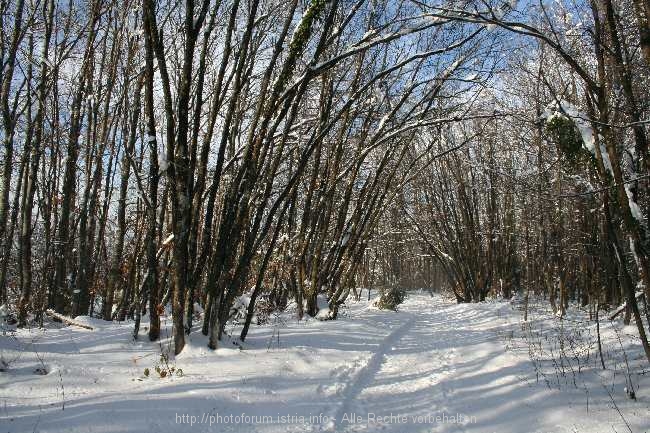 Wintermärchen Plitvice 3