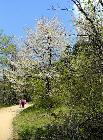 Plitvicer Seen im April