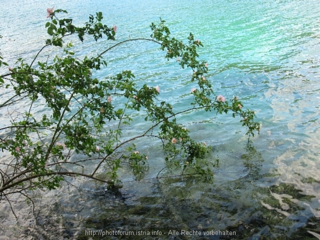 NATIONALPARK PLITVICER SEEN > Impressionen