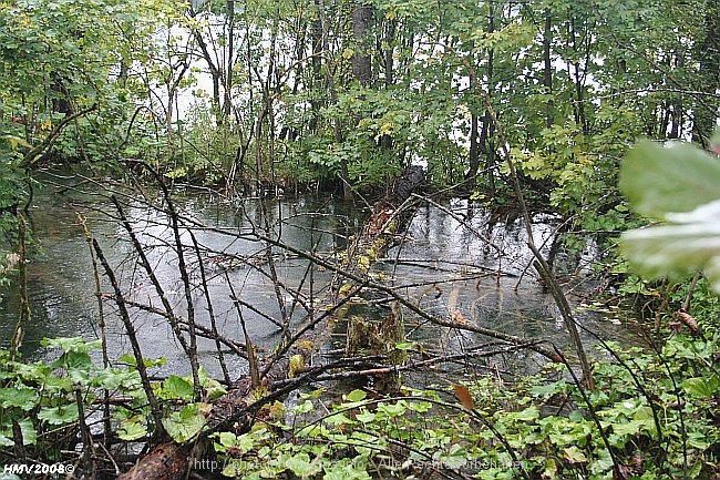 NATIONALPARK PLITVICER SEEN > Burgeti Wasserlandschaft