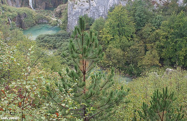 NATIONALPARK PLITVICER SEEN > Fluss Korana