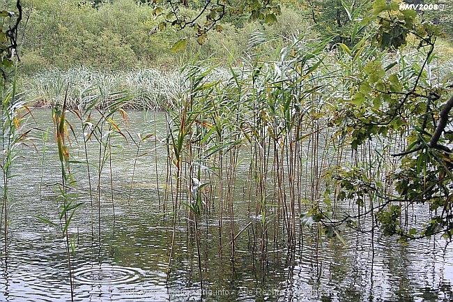 NATIONALPARK PLITVICER SEEN > Gradinsko jezero