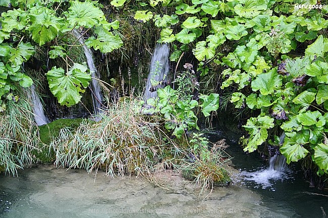 NATIONALPARK PLITVICER SEEN > Jezero Gavanovac > Kalksinterbarriere zum Jezero Kaluderovac