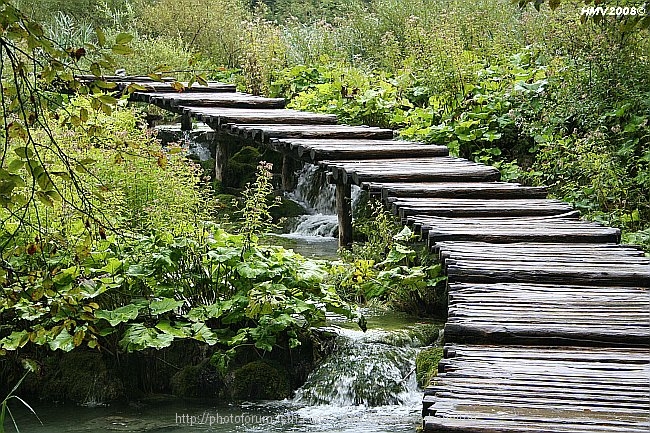 NATIONALPARK PLITVICER SEEN > Holzstege am Jezero Kaluderovac