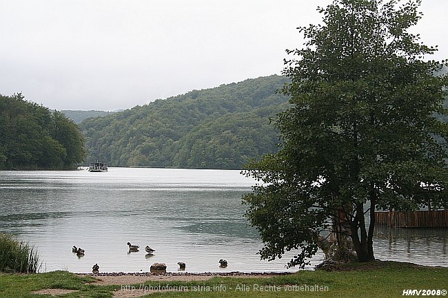 NATIONALPARK PLITVICER SEEN > Jezero Kozjak