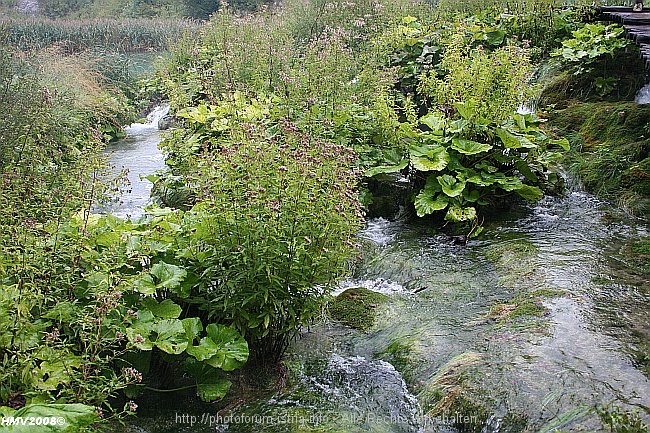 NATIONALPARK PLITVICER SEEN > Jezero Novakovic Brod > Impression