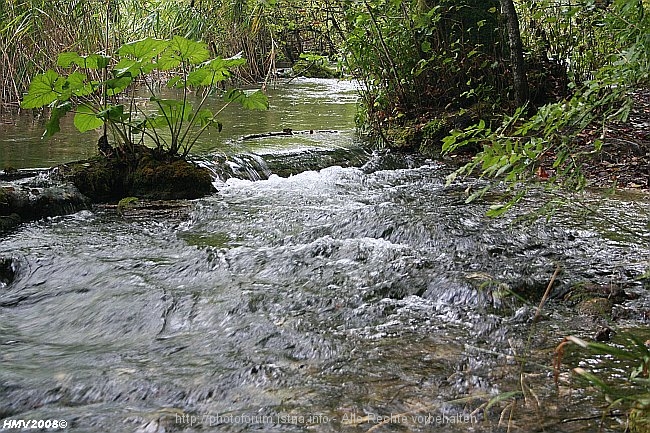 NATIONALPARK PLITVICER SEEN > Prstavci