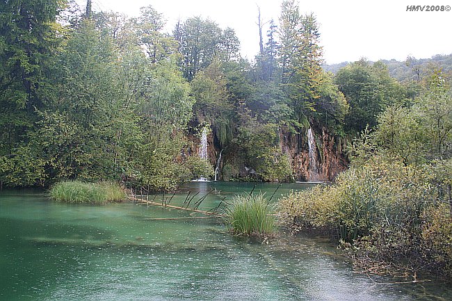 NATIONALPARK PLITVICER SEEN > Prstavci > Galovacki buk