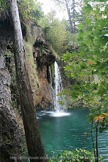 NATIONALPARK PLITVICER SEEN > Prstavci > Galovacki buk