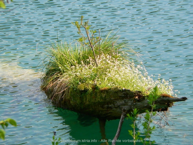 NATIONALPARK PLITVICER SEEN > Vogelrastplatz