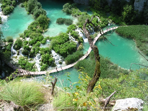 NATIONALPARK PLITVICER SEEN > Jezero Gavanovac > Kalksinterbarriere zum Jezero Kaluderovac