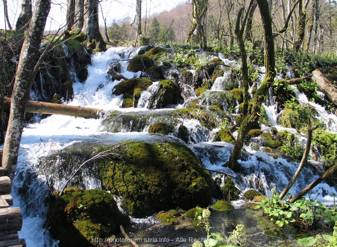 NATIONALPARK PLITVICER SEEN > Wasserfall - viele kleine Wasserfälle