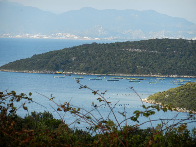 Fahrt über den Peljesac 3