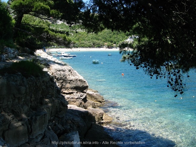 PELJESAC > Prapatno > Campingplatz