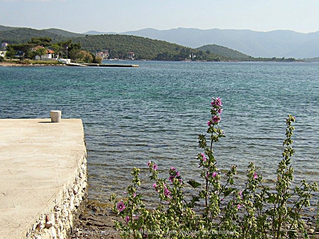 PELJESAC > Loviste