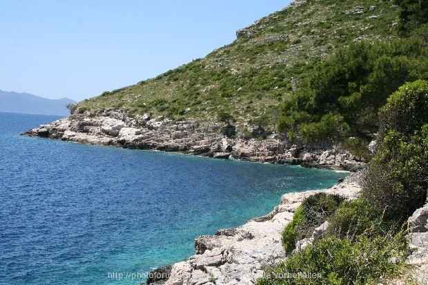 PELJESAC > Prapatno > Campingplatz