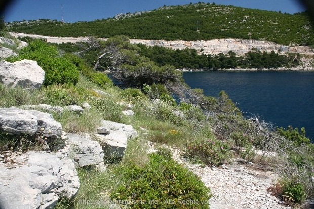 PELJESAC > Prapatno > Campingplatz