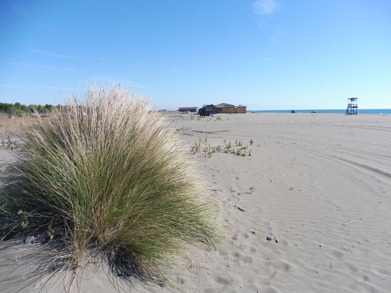 Ulcinj_Strand_2.jpg