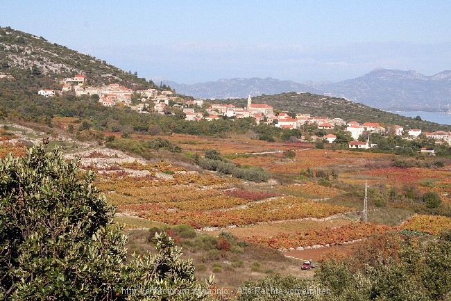 PELJESAC > JANJINA von Orebic Richtung Ston 8