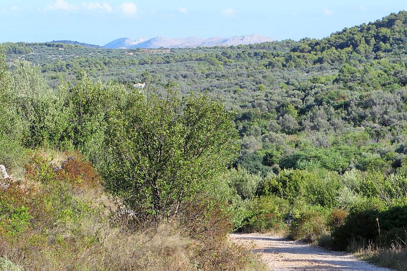 Wanderung nach Sali