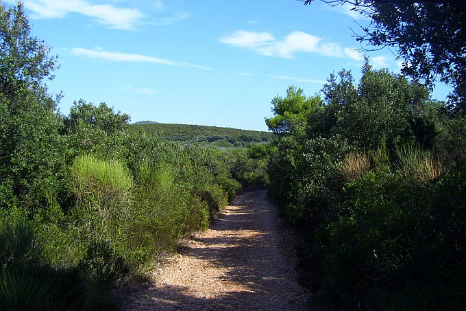 DUGI OTOK > Wanderweg