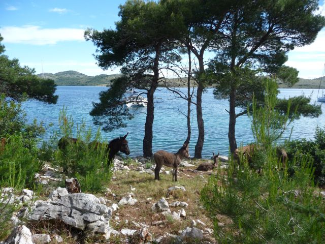 Dugi Otok 4