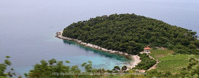 HALBINSEL RT ZAGLAVAK auf der Halbinsel Peljesac