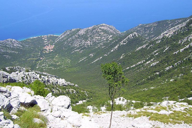 309_Wanderung_Sv._Ilija_Gipfelpanorama_Blick_auf_Duba_Peljeska.jpg