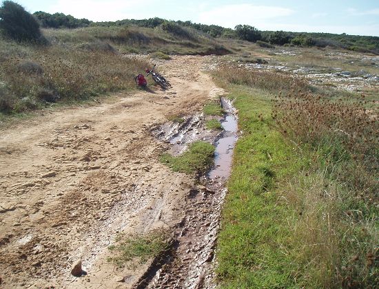 Strandweg1.jpg