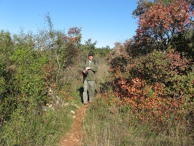 WANDERWEG zwischen Buje und Groznjan > Einsamer Wanderer