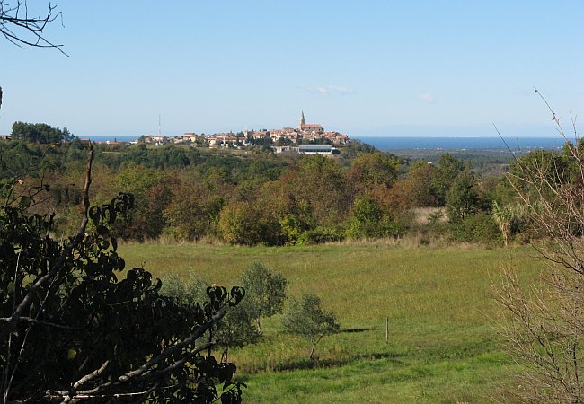 BUJE > Panoramablick während einer Wanderung nach Groznjan