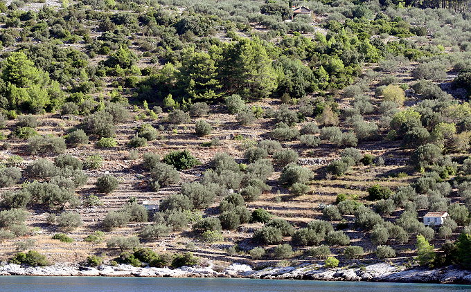 OTOK KORCULA > Terrassen