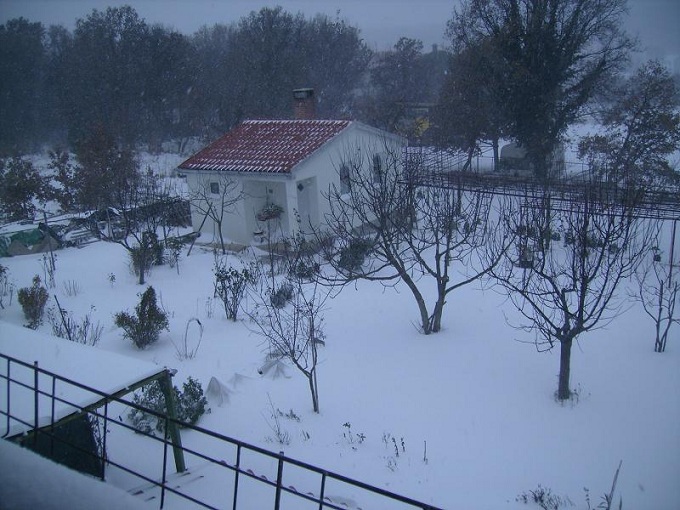 ISTRIEN > Garten im Schnee