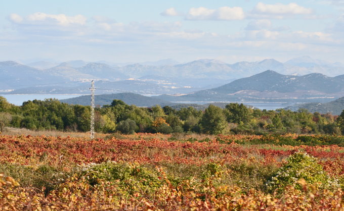 PELJESAC > Herbst bei Janjina