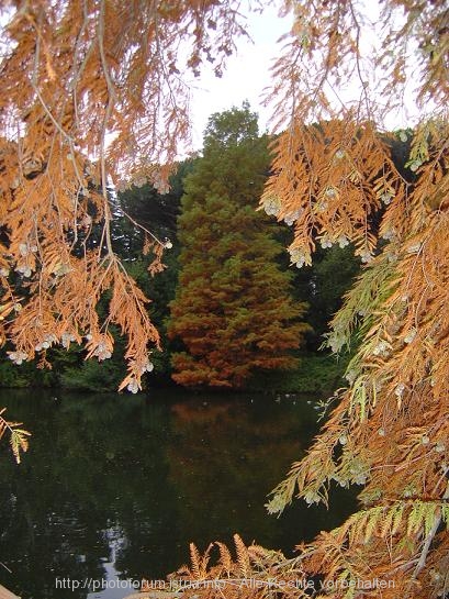 Nationalpark BRIJUNI > Letzter Weiher