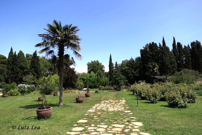 Botanische Garten>Brijuni Insel