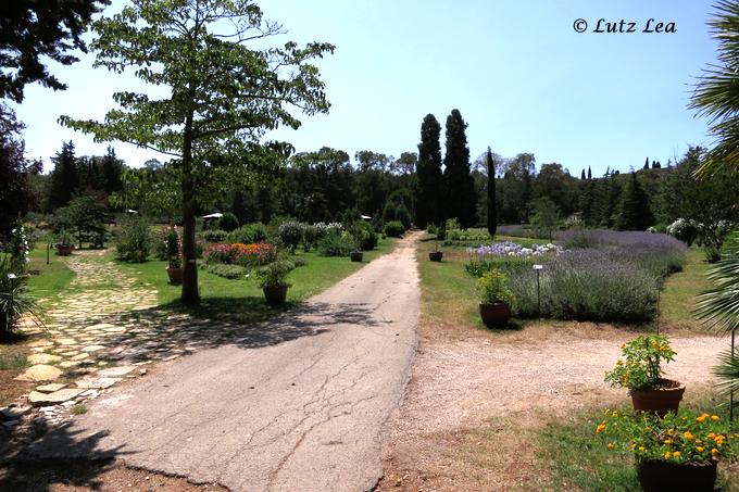 Botanischer Garten>Brijuni Insel