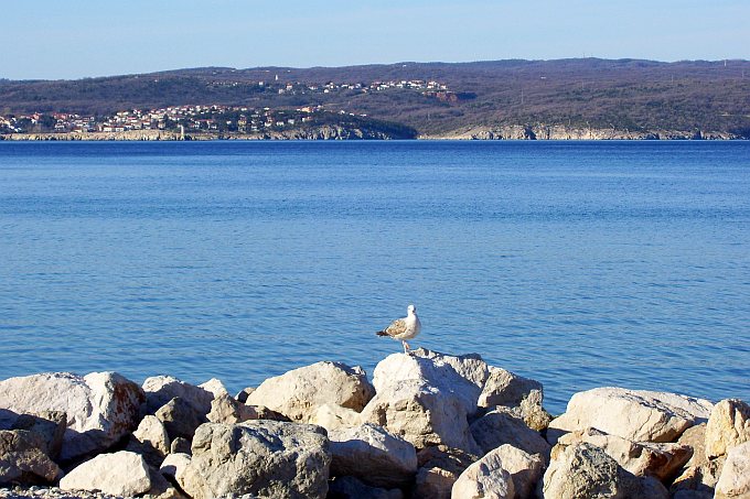 CRIKVENICA > Blick auf Insel Krk